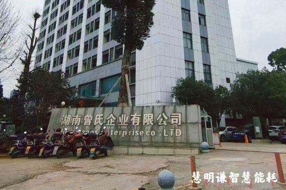 曾氏企業(yè)工業(yè)園智能電表改造項目